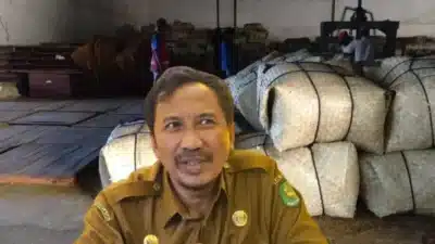 Petani tembakau di Sumenep sedang menimbang hasil panen dengan pengawasan tim gabungan Pemkab.