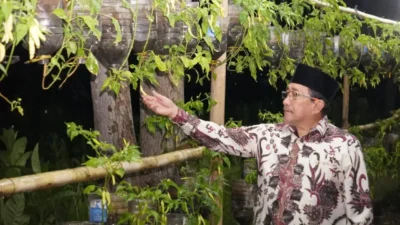 Panen perdana Kampung Cabai di Perumahan Bumi Sumekar Asri Sumenep, dihadiri Wakil Bupati KH Imam Hasyim bersama warga, dengan pemotongan pita simbolis dan suasana meriah.