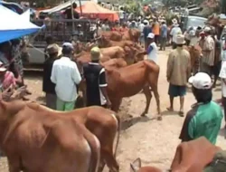 PAD Pasar Sumenep Baru Tembus 53 Persen, DPRD Desak DKUPP Cari Terobosan