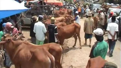 PAD Pasar Sumenep Baru Tembus 53 Persen, DPRD Desak DKUPP Cari Terobosan