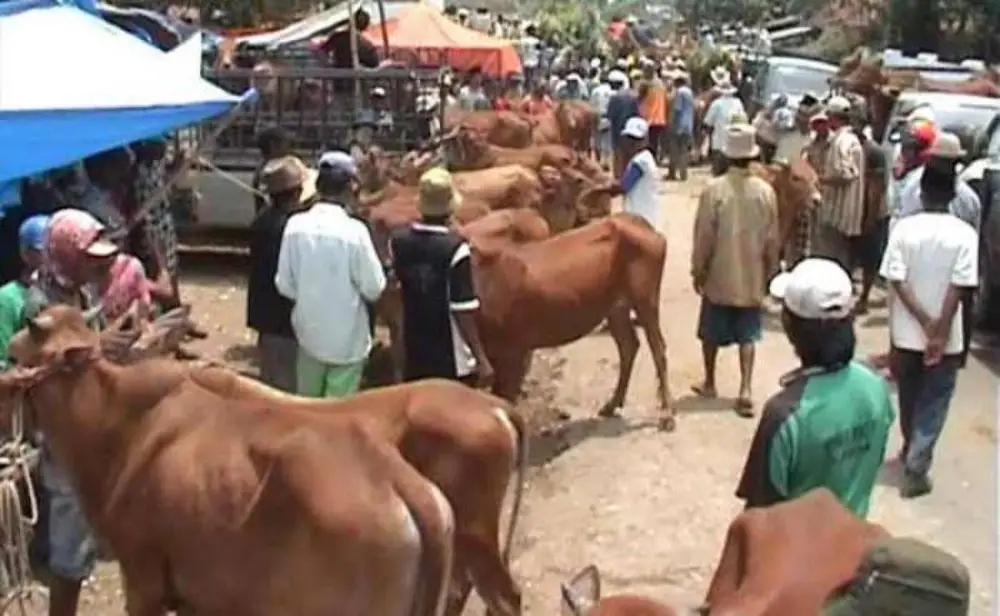 Anggota DPRD Sumenep, Juhari, saat menyampaikan kritik terkait rendahnya realisasi PAD pasar di Kabupaten Sumenep.