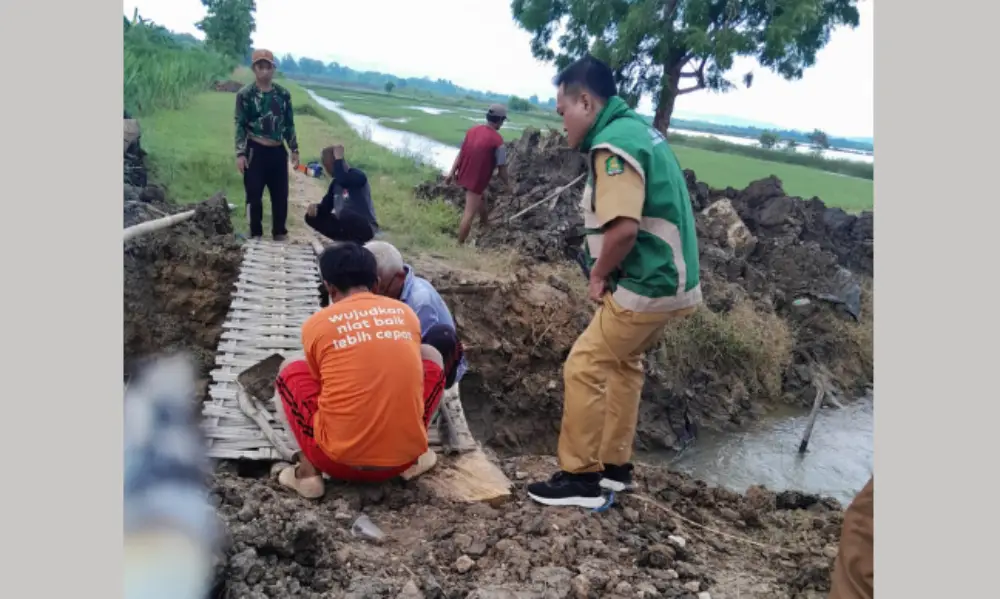 Warga membangun jembatan darurat dari bambu di lokasi jalan vital yang dijebol di Saronggi.