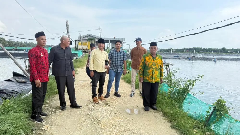 Pansus Tambak Udang DPRD Sumenep meninjau tambak di Pakandangan Tengah dan Sendang pada Jumat (12/12/2025) yang diduga beroperasi tanpa izin.