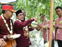 Dari Lahan ke Ritel Modern, Sumenep Resmikan Kawasan Smart Farming Hortikultura