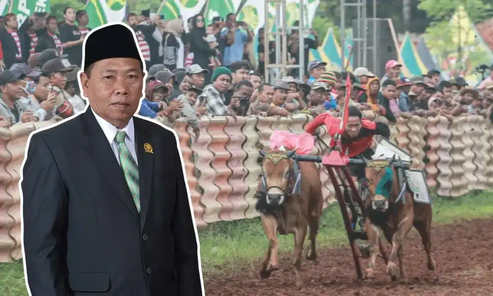Foto kolase menampilkan Anggota DPRD Sumenep Drs. Mas'ud Ali berjas hitam dan berkopiah di sisi kiri, disandingkan dengan latar belakang suasana perlombaan Karapan Sapi Bupati Cup yang sedang berlangsung sengit di hadapan penonton yang ramai.